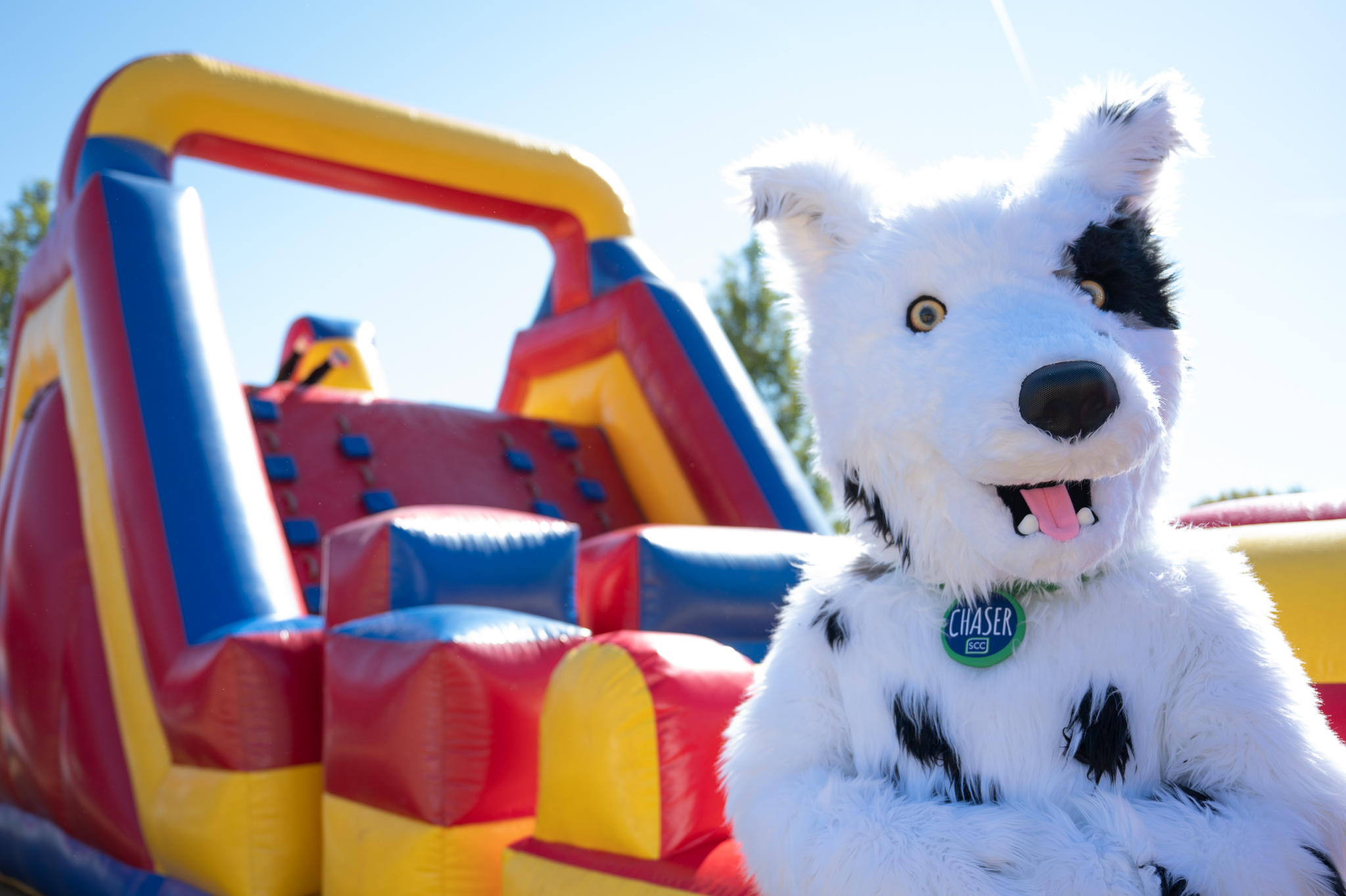 Chaser and bouncy castle