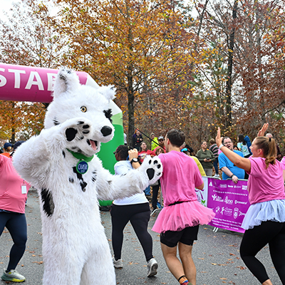 A white wolf mascot waves and poses playfully at a community fun run, surrounded by participants wearing pink tutus near a starting arch, with fall-colored trees in the background.