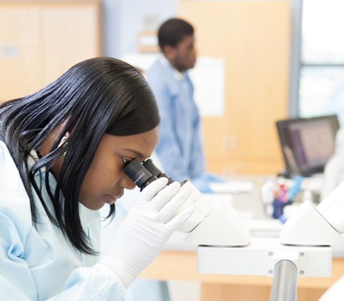 Students in MLT lab