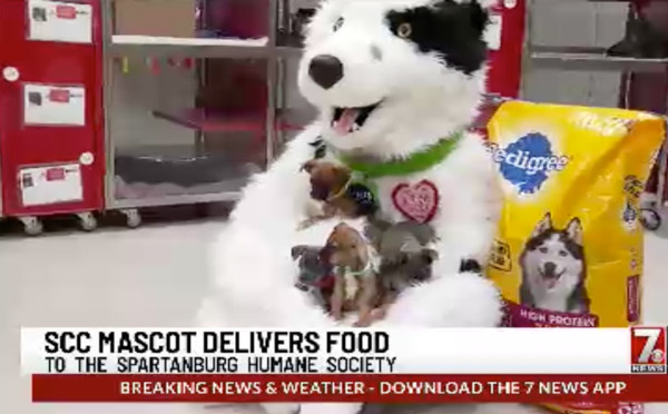 Chaser shown playing with puppies